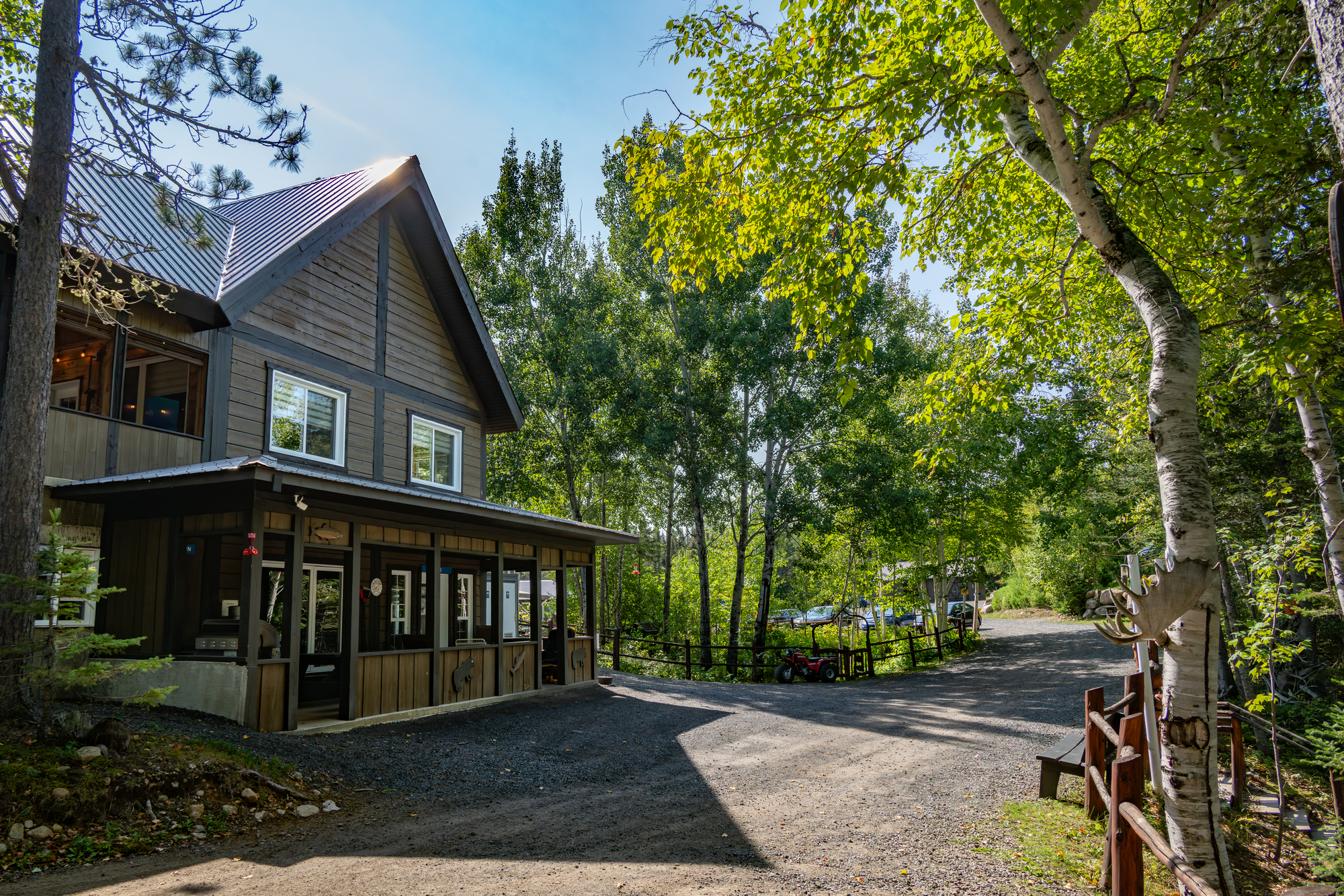 A rustic cabin surrounded by trees, with a gravel path leading to a parking area in the Charlevoix region