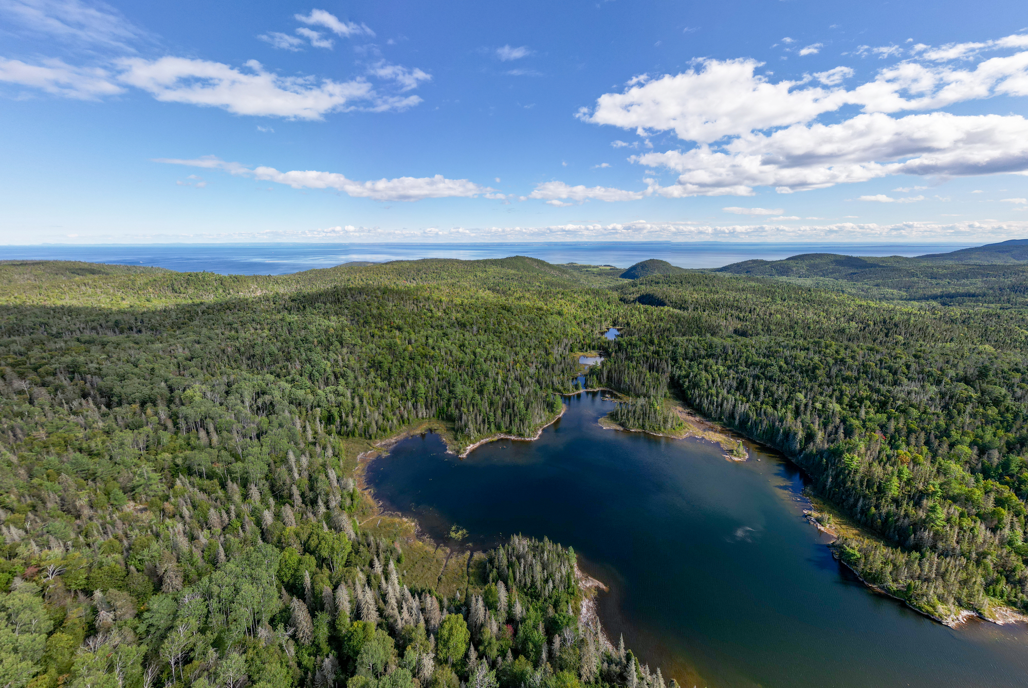 Aerial view of lush green forest and winding river in the Charlevoix region near Baie-Sainte-Catherine