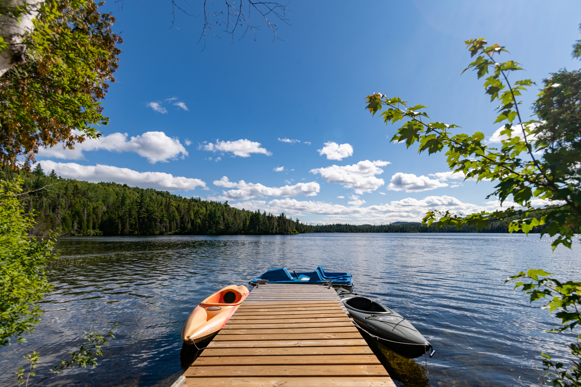 Un quai en bois au bord d'un lac entouré de forêts, avec des kayaks orange et noir amarrés sur l'eau calme sous un ciel bleu