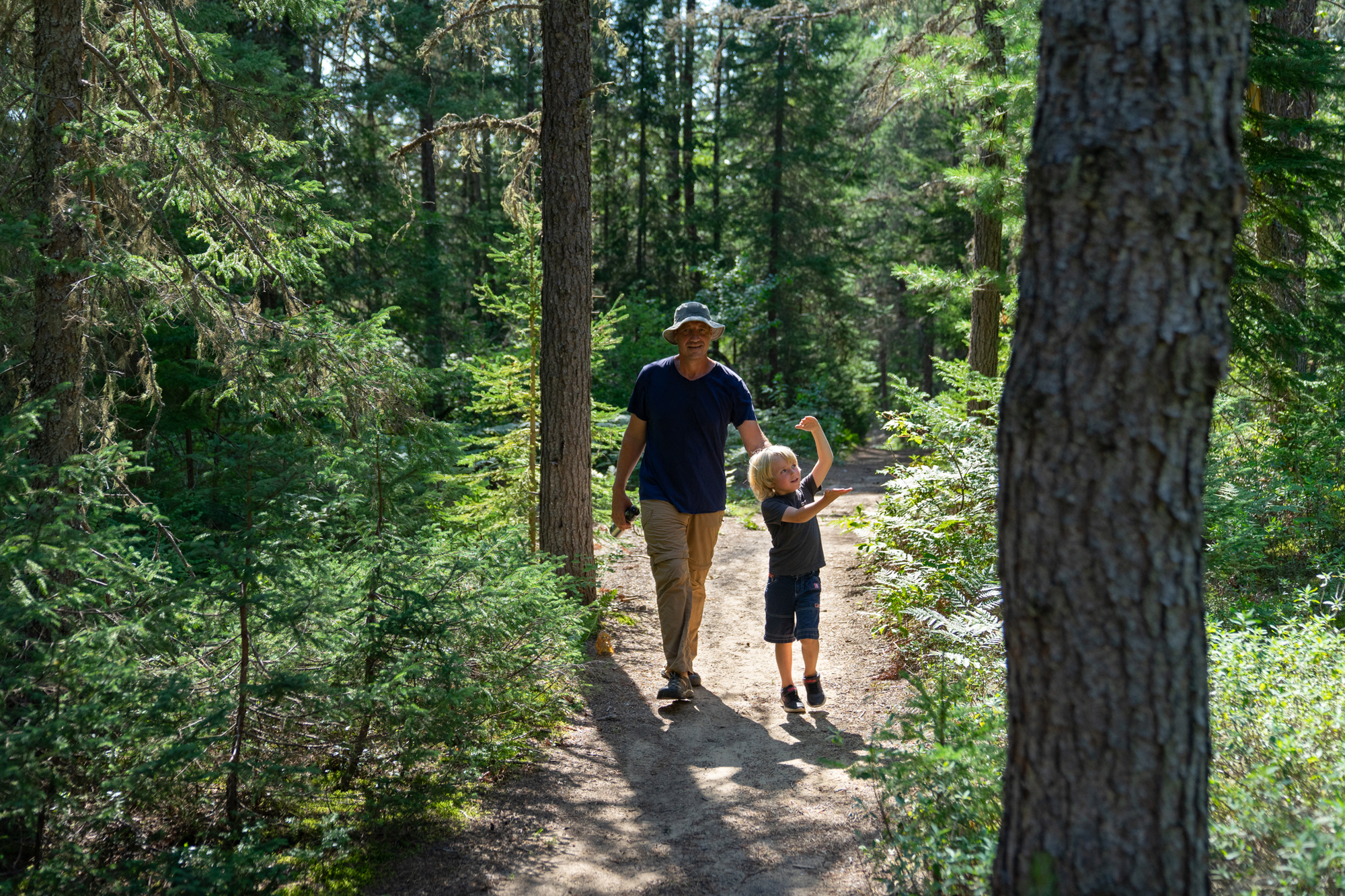man and young boy walking on a forest path surrounded by green trees in a sunny outdoor setting