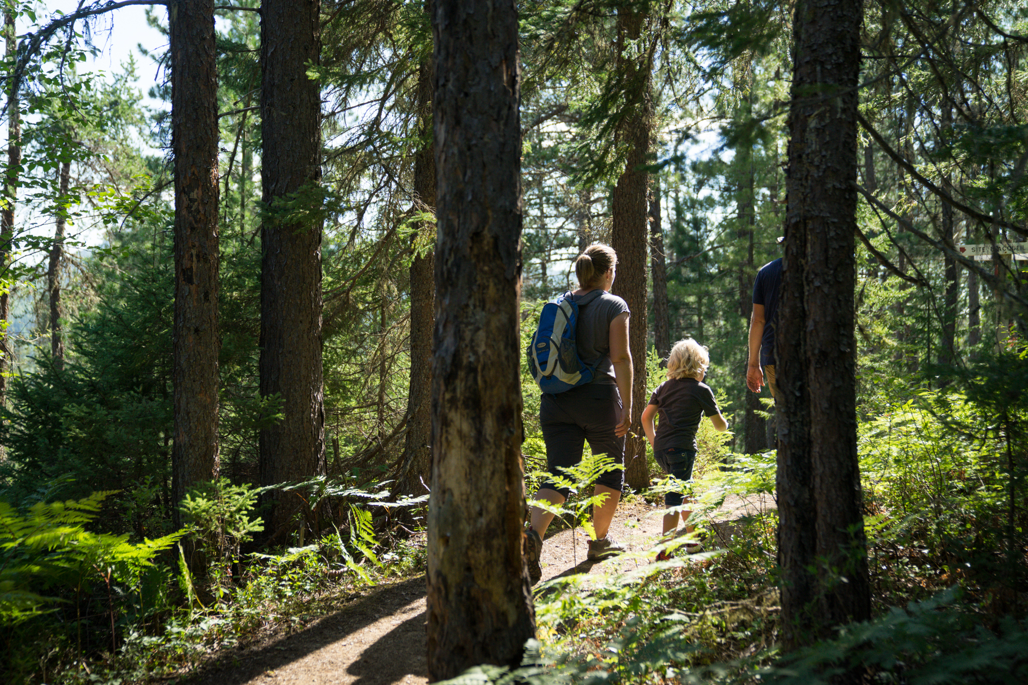 family hiking on a wooded trail in Charlevoix with lush greenery and sunlight filtering through the trees