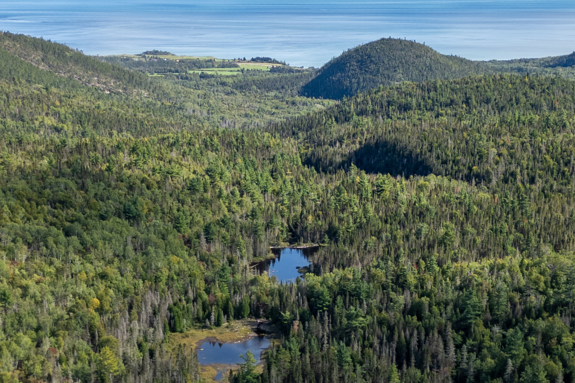 Vaste forêt verdoyante avec des lacs et collines, cadre naturel idéal pour la pêche à Baie-Sainte-Catherine