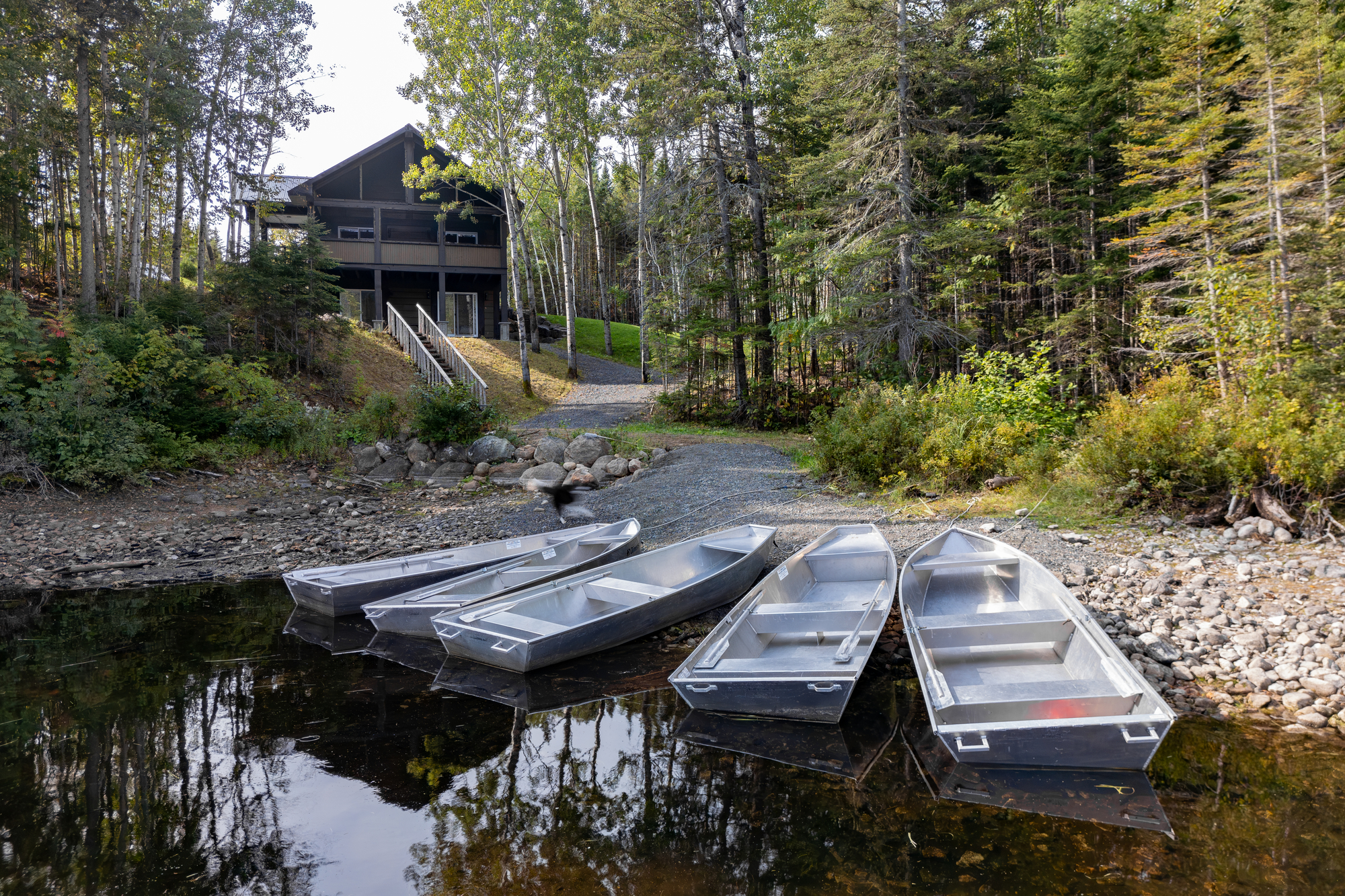 Cinq barques en aluminium amarrées sur une berge, avec une cabane moderne en arrière-plan entourée d'arbres verdoyants