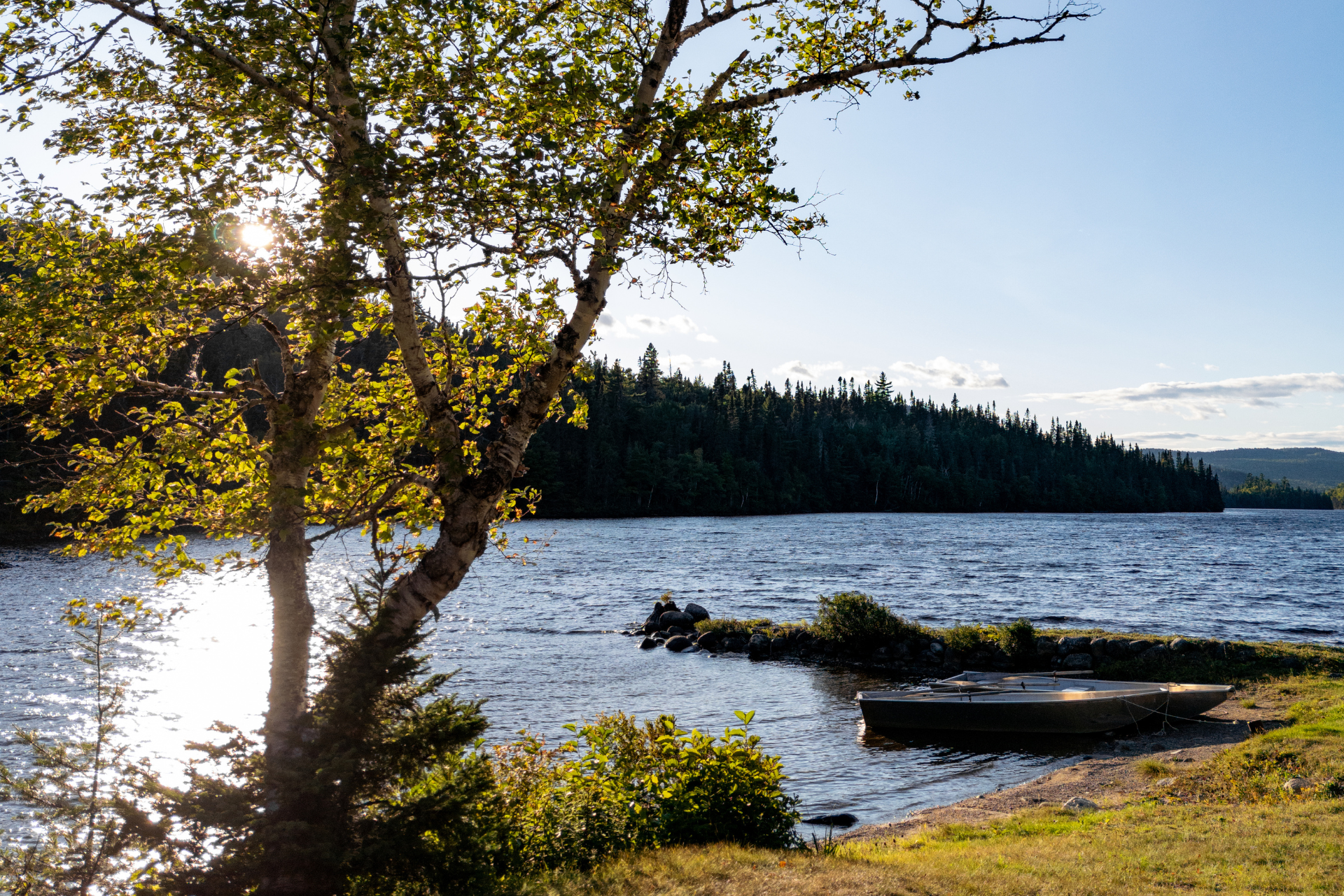 Vue paisible sur un lac entouré de verdure avec un petit bateau à la rive, parfait pour des activités nautiques en famille