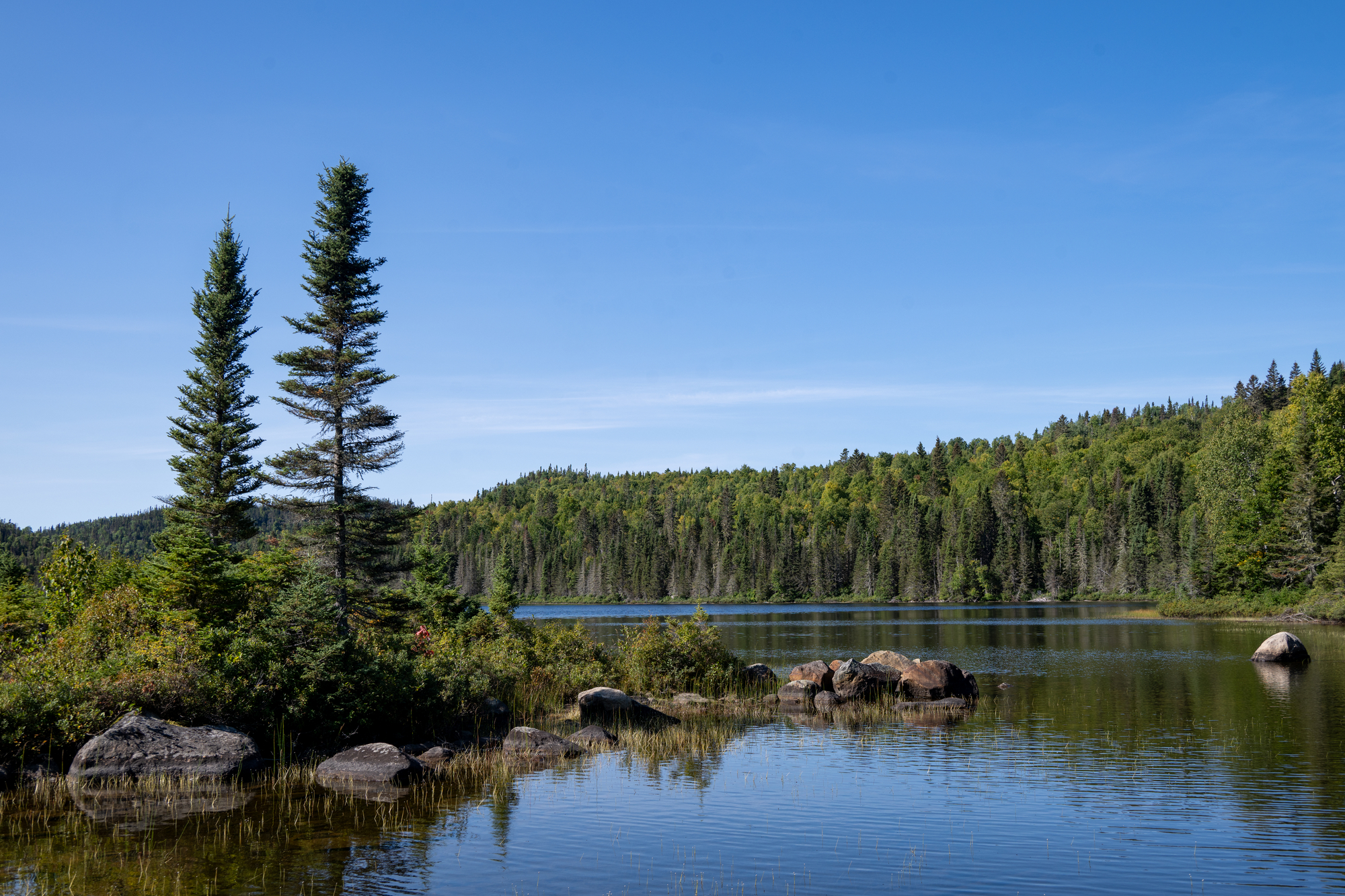Lac paisible entouré de conifères et de collines verdoyantes sous un ciel bleu clair