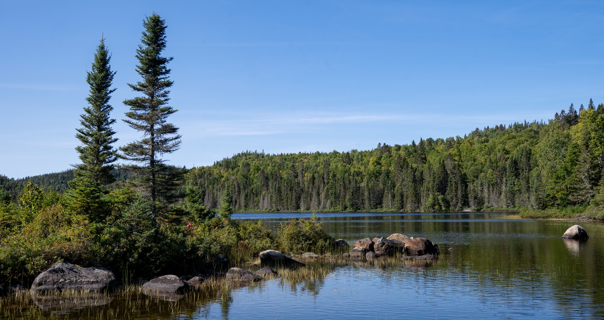 Lac paisible entouré d'arbres, roches et collines verdoyantes, idéal pour un séjour en pleine nature lors d'une chasse à l'orignal
