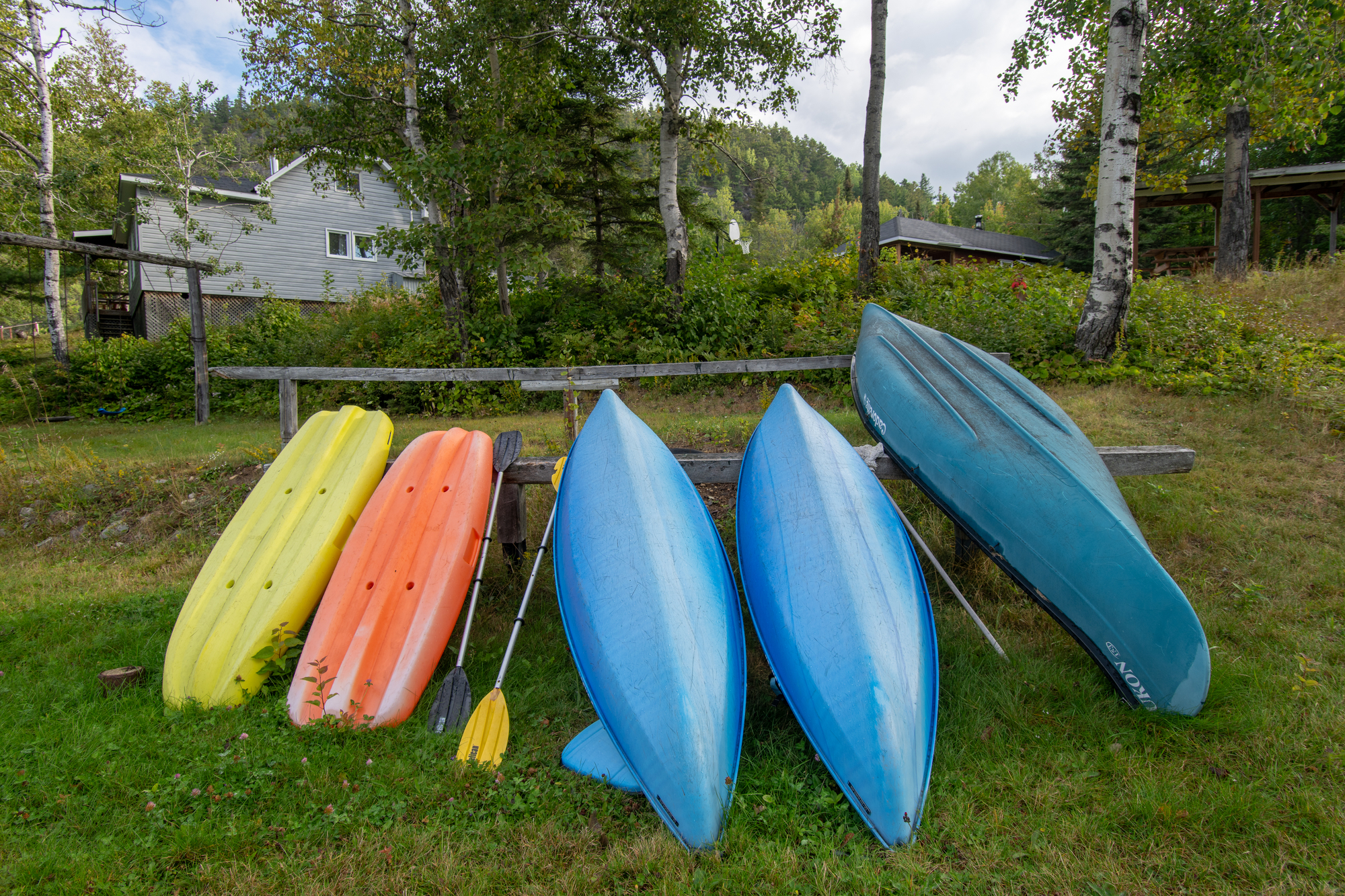 Kayaks colorés alignés sur l'herbe, entourés par la nature, prêts pour des activités nautiques en famille au Domaine Gaudias Foster